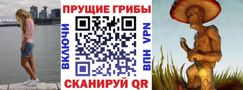 Псилоцибиновые грибы прущие грибы  Тулун 
