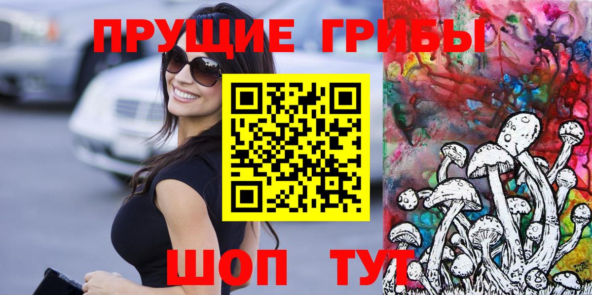 Галлюциногенные грибы Cubensis Тулун