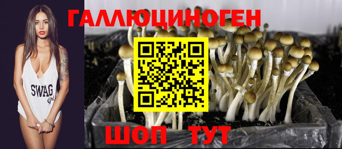 Тулун  Галлюциногенные грибы Magic Shrooms  Псилоцибиновые грибы Psilocybe  Вход с VPN 
